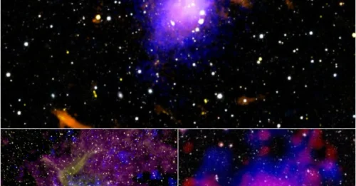 Cosmic Mysteryy: A ‘Monstrous’ 20-Million-Light-Year Particle Cloud Found Around Galaxy Cluster!