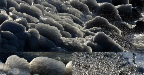 Ice Apocalypse at Balaton: How Subzero Temps and Gale Winds Created a Deadly Paradise