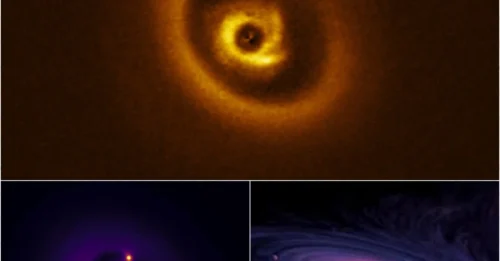 Black Holes Can Wait: RIK 113 Is Giving Birth to a Colossal Gas Giant!
