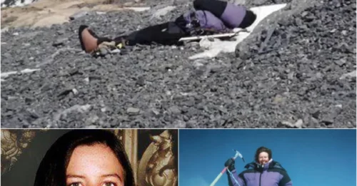 MOUNT EVEREST'S CHILLING COLD CASE: What Really Happened to 'Sleeping Beauty' Francys Arsentiev?