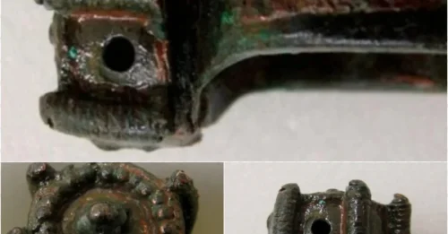History’s Most Expensive Poison: The Truth Behind the 14th-Century Death Ring