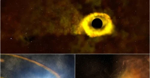 For the First Time Ever: A Star Torn Apart by a Black Hole – Witness It Now!
