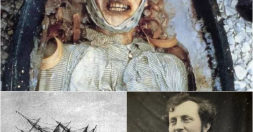 The Frozen Sailor's Corpse Reveals The Horrifying, Dark Truth Of The Franklin Expedition - What They Found Will Terrify Scientists!