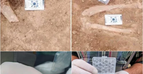 The Truth Revealed: 1.8-Million-Year-Old Human Tooth in Georgia Proves Africa Wasn’t the Only Cradle!