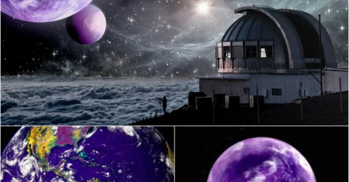 Hidden Secret: Our Ancestors Lived in a Purple World!