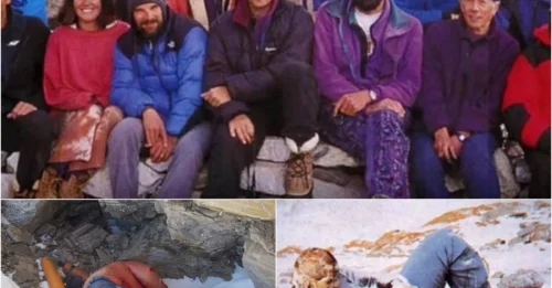 Death Zone Secret: The Dark Reason Everest's 200+ Corpses Can't Be Brought Home