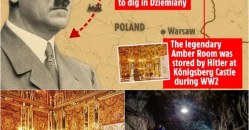 Experts Claim Hitler’s $330M Treasure Found – Dig for the Legendary 'Amber Room' Begins!