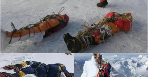 The dark truth beneath Everest's snow: 300+ frozen corpses & 11 tons of trash in the Death Zone - and the Nepalese Army's deadly cleanup mission