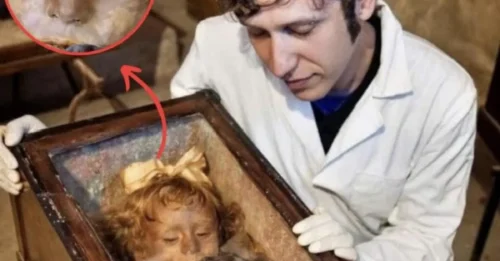 Dead or Alive? The Dark Truth Behind the 