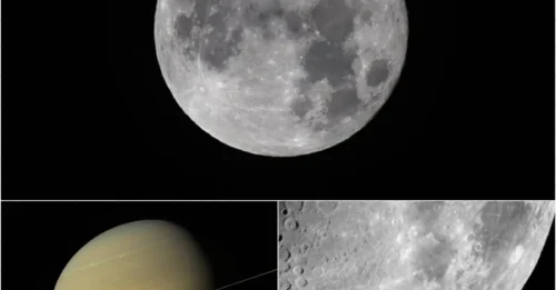The World Is About to Change: Moonmoons Are Real, and the Internet Demands This Unbelievable Name!