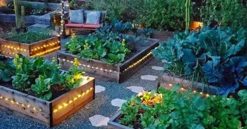20 Easy DIY Gardening Ideas With Vegetables