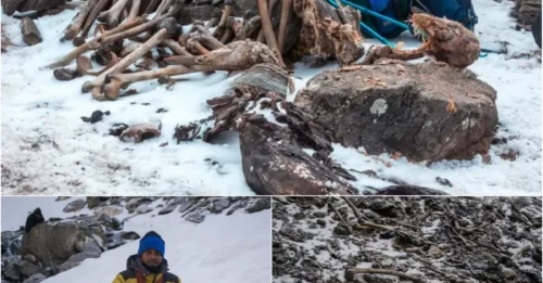 The Himalayan Death Lake's Twin Disaster Mystery: 800 Lives Lost in Identical Tragedies - 1,000 Years Apart!