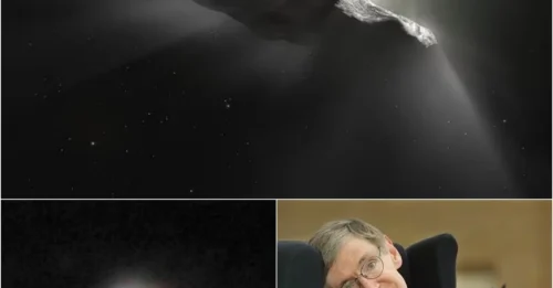 Stephen Hawking's Chilling Prophecy Coming True? Scientists Sound the Alarm on Apocalyptic Scenario!