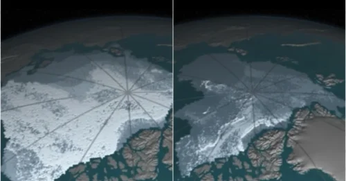 NASA Reveals a Terrifying Truth: Arctic Ice Cap Disappearing at an Alarming Rate!