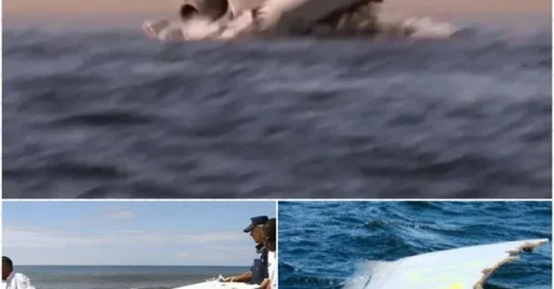 The Chilling Truth Behind MH370’s Disappearance Has Finally Been Exposed