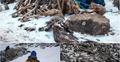 The Himalayan Death Lake’s Twin Disaster Mystery: 800 Lives Lostt in Identical Tragedies – 1,000 Years Apart!