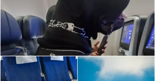 The Bizarre Reason a Passenger Almost Fought Mid-Flight: A Dog Took Their Seat!