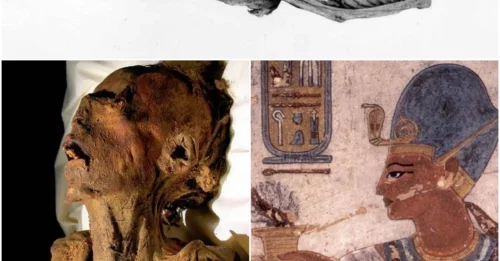 THE FIENDISH SCREAMING MUMMY: The Horrifying Truth Behind Its Eternal Agony