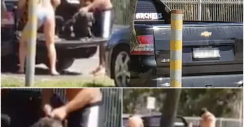 Disturbing Act Caught on Camera: Dog Left Whimpering After Heartless Kick in Broad Daylight