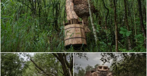 My Hidden Creations: The Abandoned Giants Lurking in Belgium’s Deepest Woods