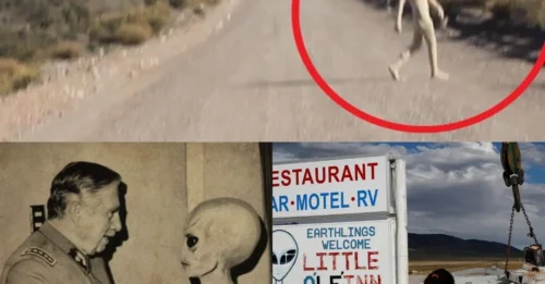 Area 51’s Leaked Footage: UFOs in Question