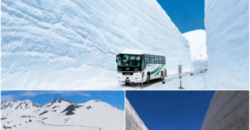 Welcome To The ‘Roof Of Japan’, The Snowiest Road In The World