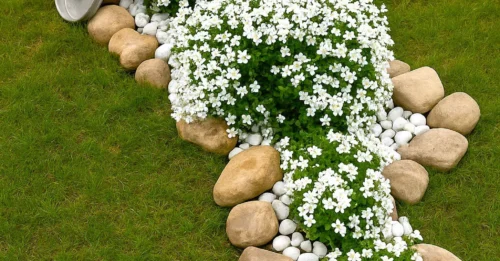 24 Appealing Spilled Flower Pots For Your Yard
