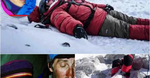 A Summit Turned Tomb: The Disturbing Story of Everest’s ‘Sleeping Beauty’ and Her Final Desperate Wordss