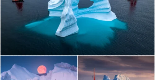 24 Stunning Photos of Greenland – A Place That Will Be Gone in 10 Years