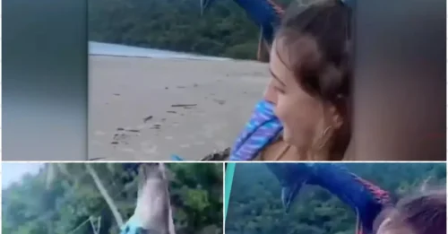 Terrifying Moment: Woman Cheats Death in Close Encounter With Prehistoric 'Killer' Bird!