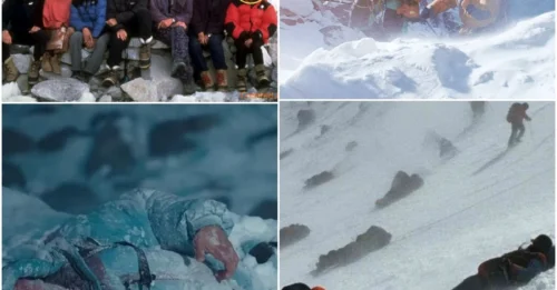 Into the Death Zone: The Chilling True Story of the 1996 Tragedy That Left 8 Dead on Mount Everest