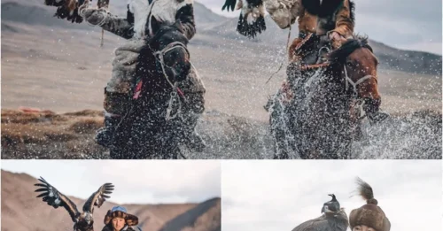A Dying Art? The Rare Female Eagle Hunter Fighting to Keep Her Tradition Alive