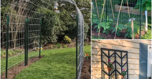 18 Ingenious DIY Trellis Ideas To Beautify Your Garden
