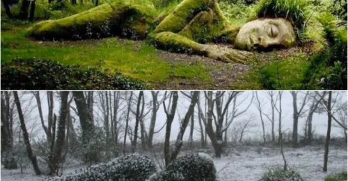 Hidden for Decades: The Evolving Plant Monster in Heligan’s Lost Gardens Will Haunt Your Dreams!
