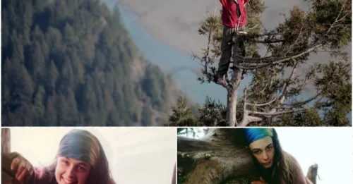 She Spent 738 Days in a 180-Foot Tree – The Shocking Truth Behind Her Extreme Protest