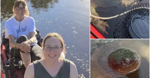 Giant 'Bear-Clawed' Monster Emerges from the Deep – Kayakers Flee in Terror!