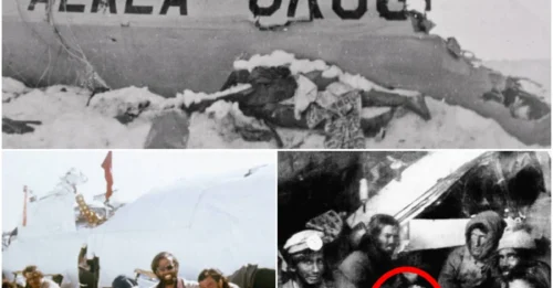 The Andes miracle hides a gruesome secret: They were called monsters for eating the dead – until the world learned the horrifying truth behind their survival!