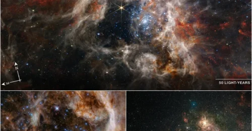 NASA Just Discovered a 
