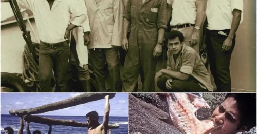 They Should Have Died: The Miracle Escape of Six Teens Stranded for 15 Months on a Hellish Island