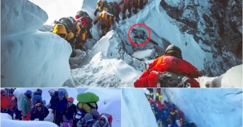 The Horrifying Truth Behindd the 2019 Everest Climbing Season That Killed 11 People – Shocking Photos Reveal the Tragedy