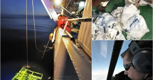 MS804 Black Box Unveils the Truth: Pilot’s Final Words Reveal a Shocking Twist in the Egypt Tragedy!