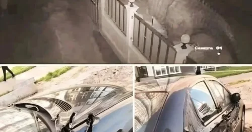 Undeniable Proof: Extinct Dinosaur Seen Ripping Apart a Car on Camera!
