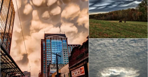 Is Nature Playing Tricks? The Most Incredible Clouds Ever Captured!