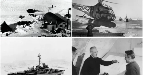 Operation Highjump: How a U.S. Naval Expedition Uncovered Something Far More Sinister Than Ice