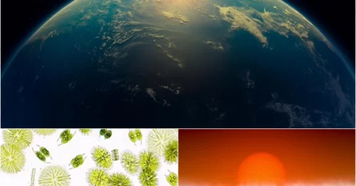 Alien Life Found? Ocean Planet 120 Light-Years Away Shows Strongest Evidence Yet!
