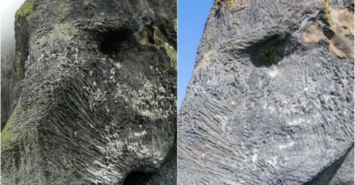 Giant Sea Monster Emerges Violently: Mysterious Creature Suddenly Appears in Iceland!