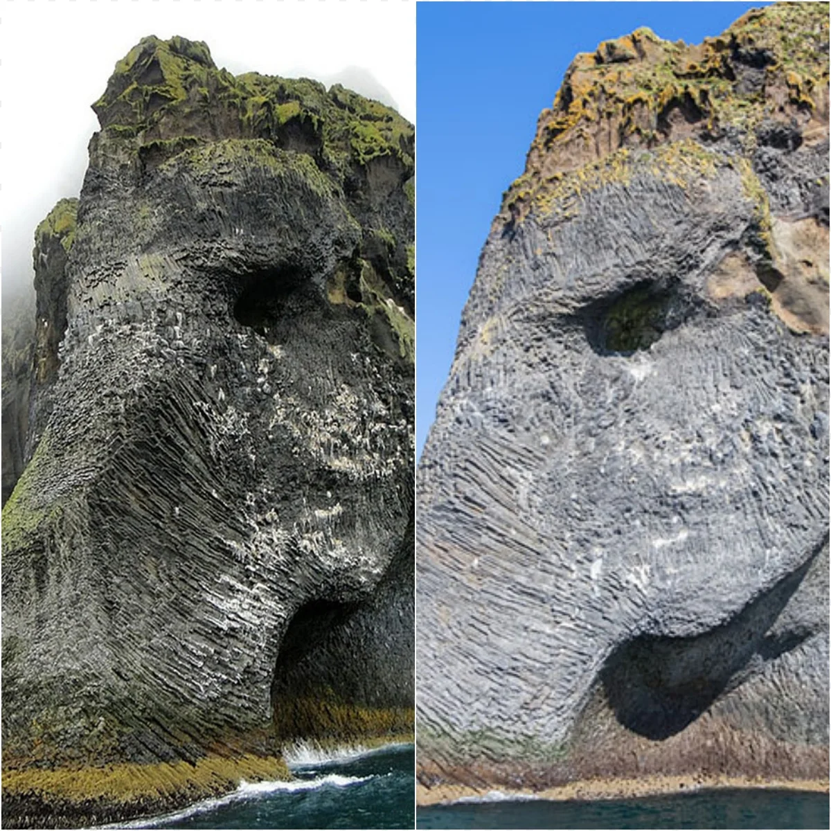 Giant Sea Monster Emerges Violently: Mysterious Creature Suddenly ...