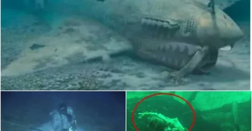 Mysterious Giant Plane Discovered Intact Deep in the Bermuda Triangle: A Terrifying Revelation