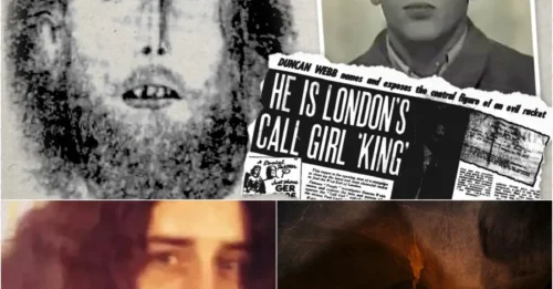 47-Year Cold Case Cracked by a Single Fingerprint Card — The Chilling Truth Behind ‘Pinnacle Man’