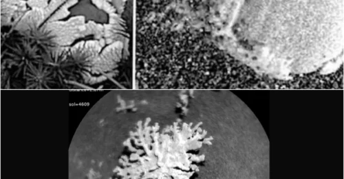 MARS MIRACLE: NASA Spots Something Shockingly Familiar on Red Planet